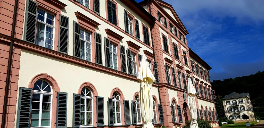 Schönheit unter Vorbehalt