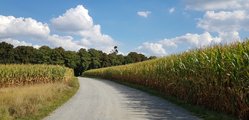 Eduard Mörike zum Geburtstag: Idylle und&nbsp;Widerstand
